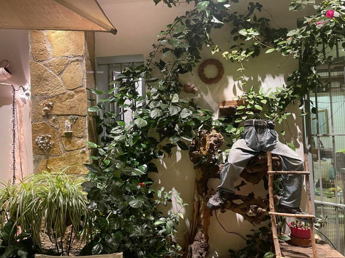 Apartmán Eleonora'S Hidden Gem Atény Exteriér fotografie