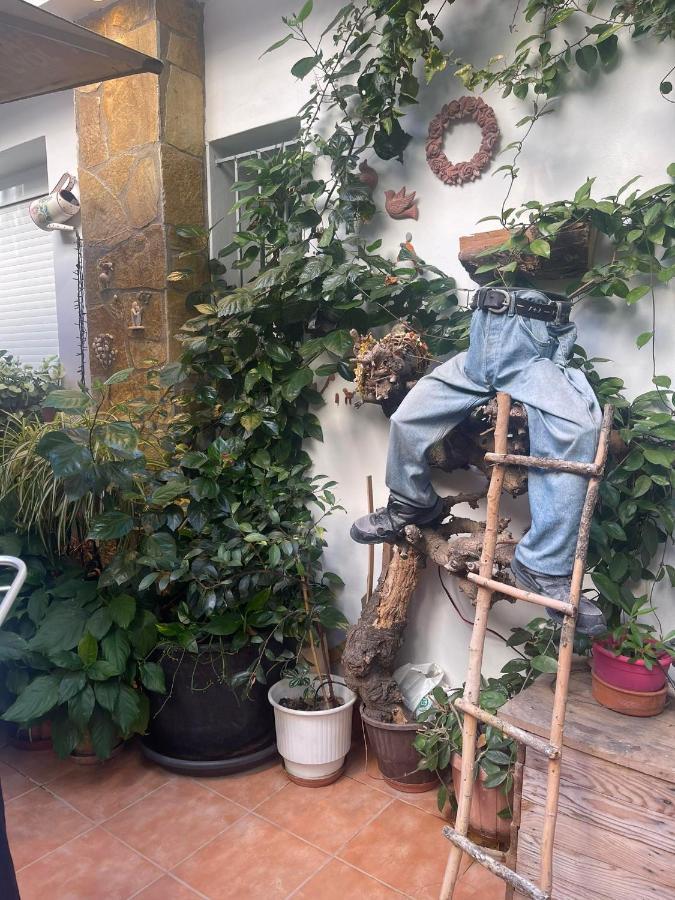 Apartmán Eleonora'S Hidden Gem Atény Exteriér fotografie